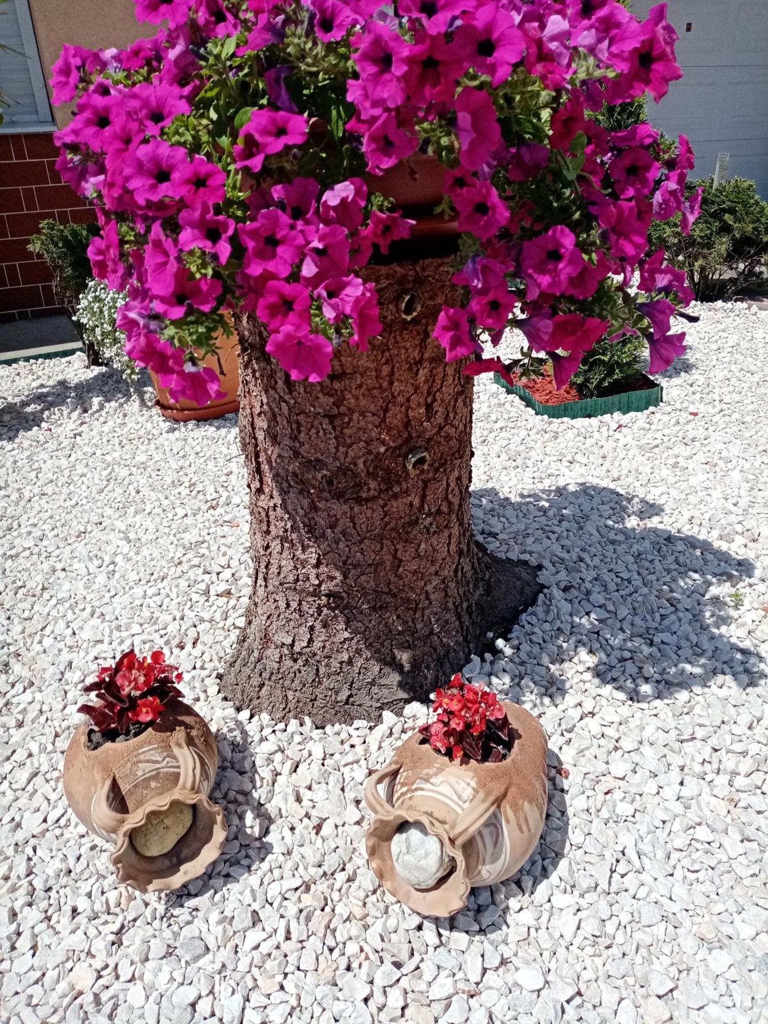 Margaret Apartman Egerszalók Dış mekan fotoğraf