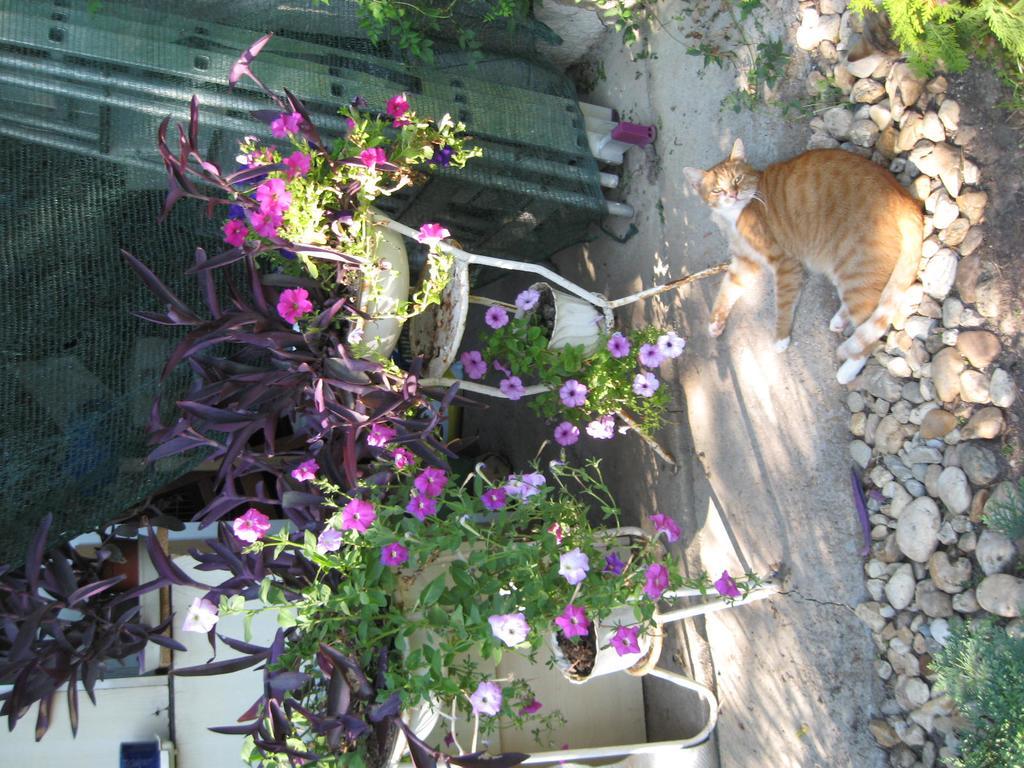 Margaret Apartman Egerszalók Dış mekan fotoğraf